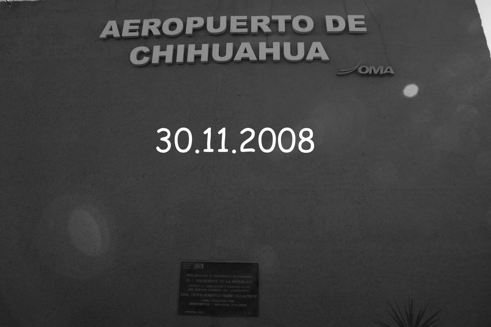 752 dsc02444achihuahua